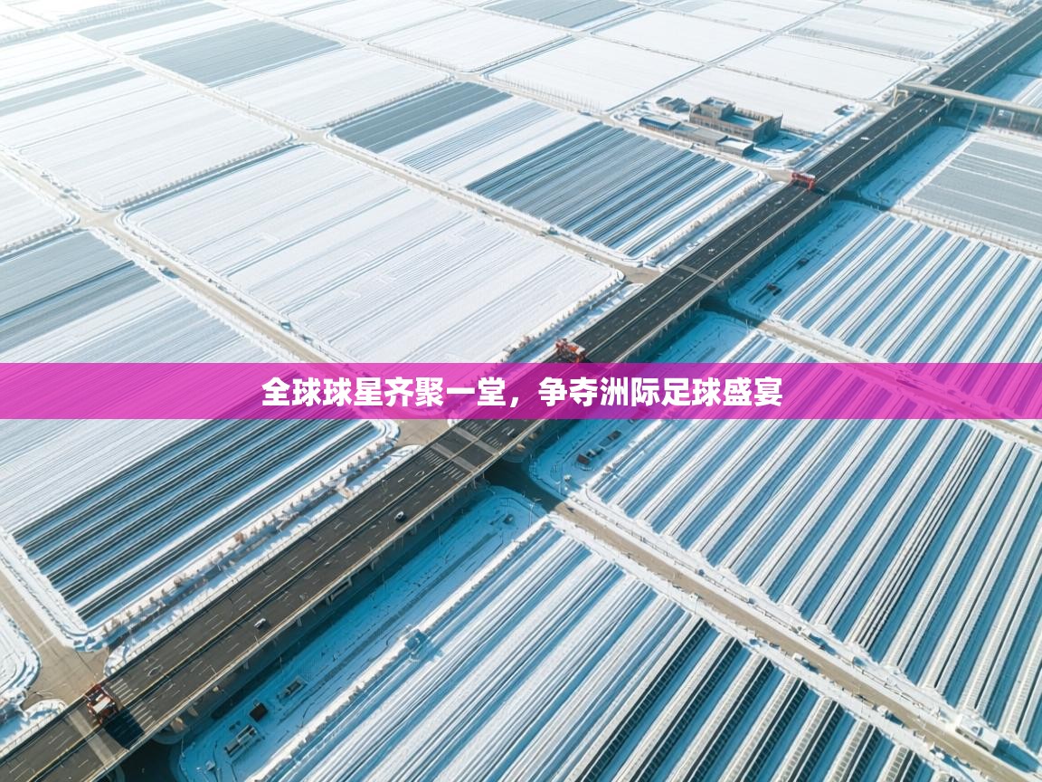 全球球星齐聚一堂，争夺洲际足球盛宴  第2张