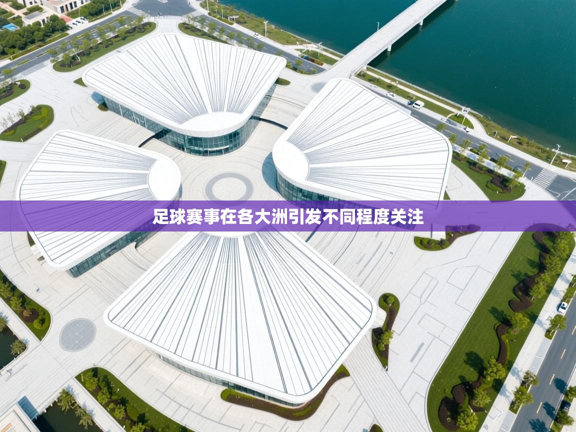 足球赛事在各大洲引发不同程度关注  第2张