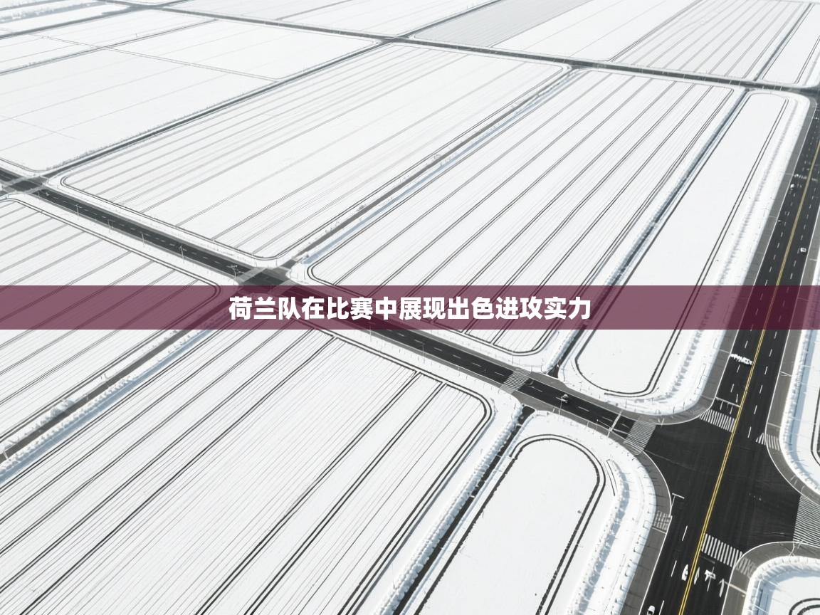 荷兰队在比赛中展现出色进攻实力  第1张